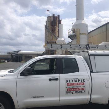 Olympic Pest Service - Pest Control Near Me - Parlin, New Jersey