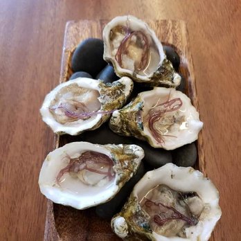 Senia - Oysters - Cocktail Bars Near Me - Honolulu, Hawaii Senia - Oysters - Cocktail Bars Near Me - Honolulu, Hawaii