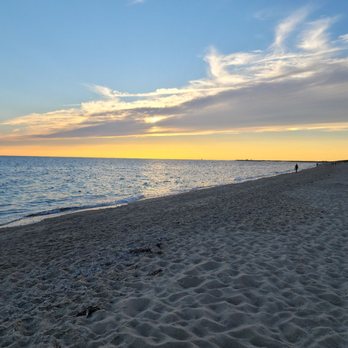 Art's Dune Tours - Tours Near Me - Provincetown, Massachusetts