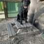 Photo of Wet Nose Training