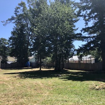 Tim's Tree Removal and Services - Cleared site after 7 trees brought down skillfully by Tim & crew - Tree Services Near Me - Eugene, Oregon