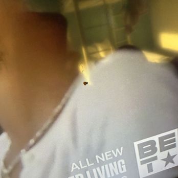 Margaritaville Resort Biloxi - The foreign substance stuck to the TV with small hair fibers attached - Resorts Near Me - Biloxi, Mississippi Margaritaville Resort Biloxi - The foreign substance stuck to the TV with small hair fibers attached - Resorts Near Me - Biloxi, Mississippi