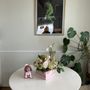 Photo of Tulips Trophies & Treasures