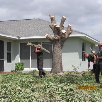 Tim's Tree Service - Well into it - Tree Services Near Me - Cape Coral, Florida Tim's Tree Service - Well into it - Tree Services Near Me - Cape Coral, Florida
