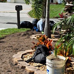 Rodriguez Nursery - pulling grass by hand