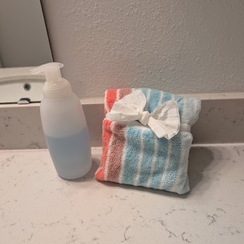 Expert Cleaners - Another surprise in the hall bathroom - Home Cleaning Near Me - Jacksonville, Florida