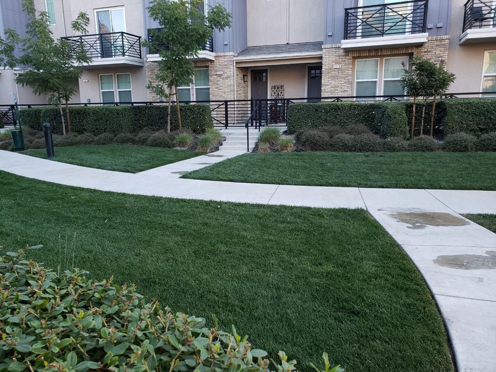 New image landscape service - tree service in Birmingham, AL