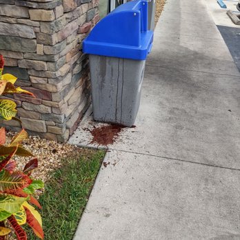Culver's - Fast Food Near Me - Tampa, Florida