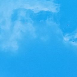 Filthy swimming pool , full of insects !