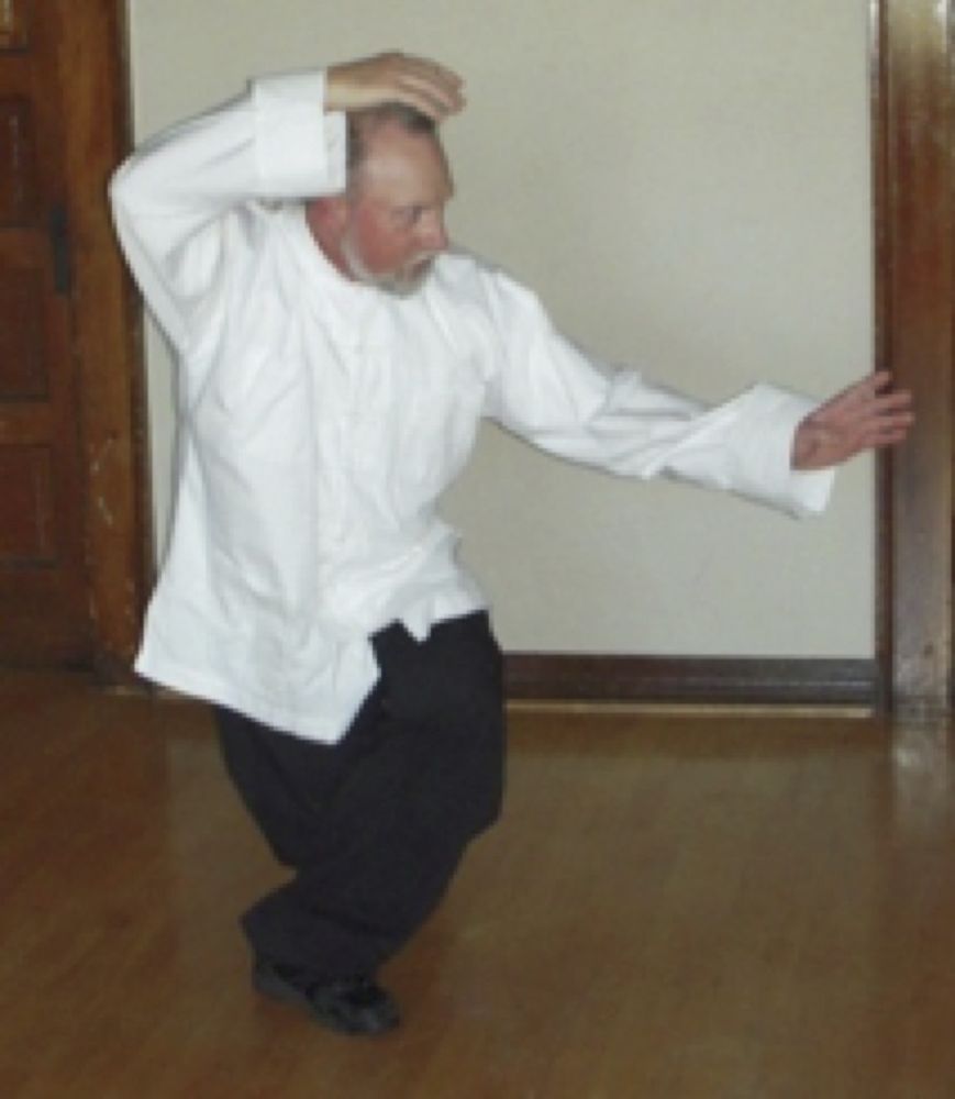Five Mountains Institute of Qigong and Taijiquan Logo