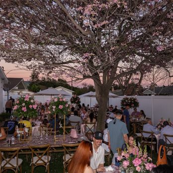 Silverio Party Rental 3 - Party Equipment Rentals Near Me Silverio Party Rental 3 - Party Equipment Rentals Near Me