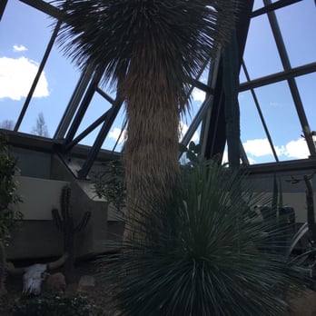 Muttart Conservatory - Grass Tree - Australia - Landmarks & Historical Buildings Near Me - Edmonton, Alberta Muttart Conservatory - Grass Tree - Australia - Landmarks & Historical Buildings Near Me - Edmonton, Alberta