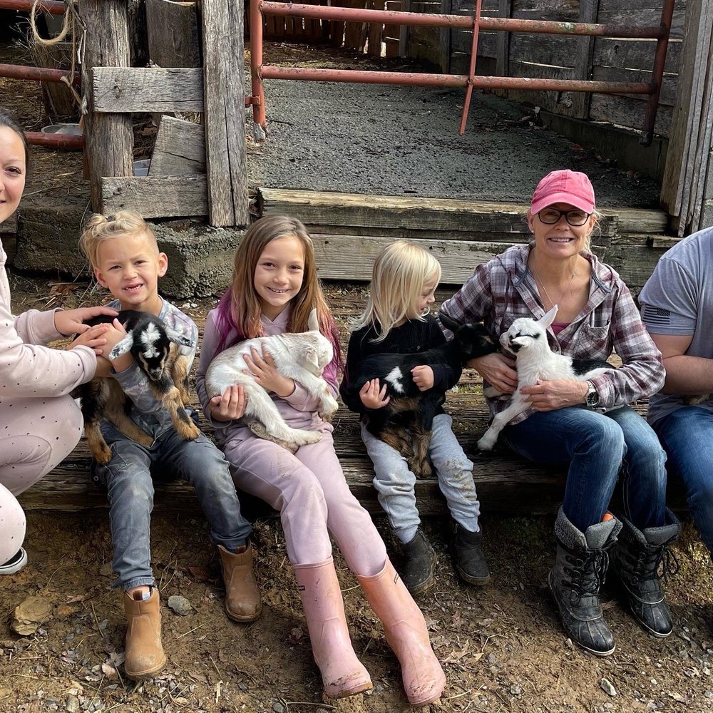 Twin Valley Horse Ranch - More baby goats! - Horseback Riding Near Me - Walland, Tennessee Twin Valley Horse Ranch - More baby goats! - Horseback Riding Near Me - Walland, Tennessee