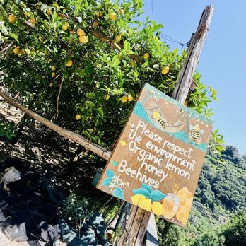 Amalfi Lemon Experience - Food Tours Near Me - Amalfi, SA