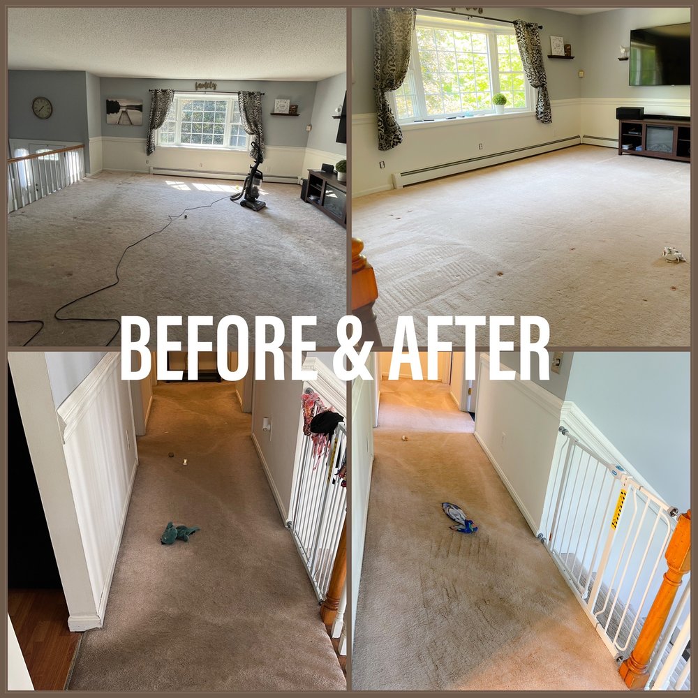 CARPET REVOLUTION STEAM CLEANING Updated October 2024 16 Photos