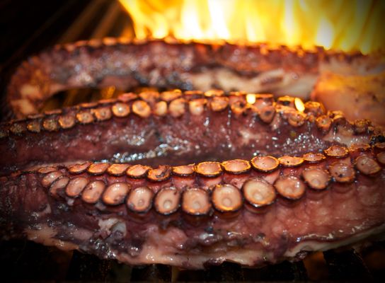 Faros Restaurant - Greek Seafood - Mediterranean by null