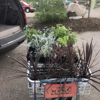 Windemere Lanscape - Plants - Nurseries & Gardening Near Me - Steamboat Springs, Colorado Windemere Lanscape - Plants - Nurseries & Gardening Near Me - Steamboat Springs, Colorado