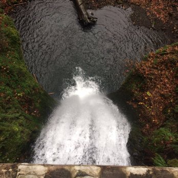 Multnomah Falls - Looking down from the bridge! - Hiking Near Me - Bridal Veil, Oregon Multnomah Falls - Looking down from the bridge! - Hiking Near Me - Bridal Veil, Oregon
