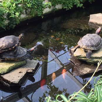 Flower World - What were these guys up to?! - Nurseries & Gardening Near Me - Snohomish, Washington