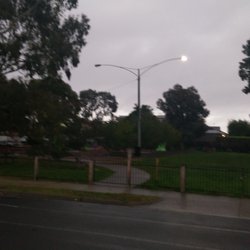 Park