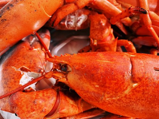 Gosman's Retail Fish Market by null