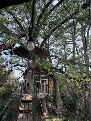 Cypress Valley by null