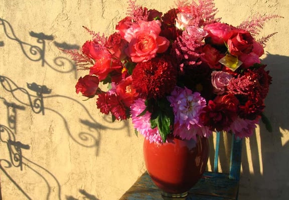 Cebolla Fine Flowers by null