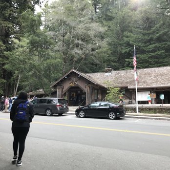 Big Basin Redwoods State Park - Parks Near Me - Boulder Creek, California