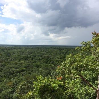 Alltournative - The jungle from the top of Coba! - Tours Near Me - Playa del Carmen, ROO