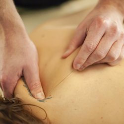 True Self Bodywork - Muscular alignment and fascial flexibility is our focus.