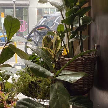 Third Culture Coffee - Inside - Coffee & Tea Near Me - Bellevue, Washington