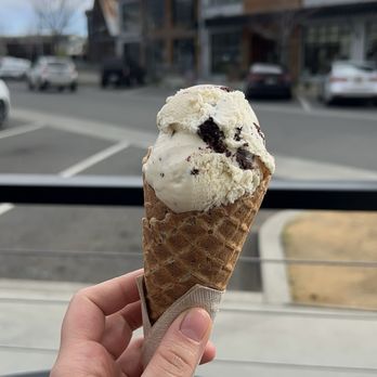 Savor Ice Cream - Mint brownie - Ice Cream & Frozen Yogurt Near Me - Chico, California Savor Ice Cream - Mint brownie - Ice Cream & Frozen Yogurt Near Me - Chico, California
