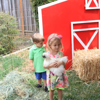 Little Reds Barnyard Friends - Petting Zoos Near Me