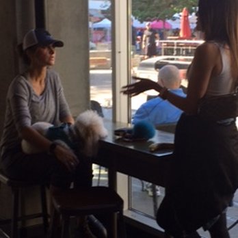 Starbucks - Starbucks Playa Vista is dog friendly - Coffee & Tea Near Me - Playa Vista, California Starbucks - Starbucks Playa Vista is dog friendly - Coffee & Tea Near Me - Playa Vista, California