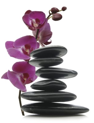 BALANCE SKIN CARE STUDIO - 502 Baseline Rd, Lafayette, Colorado - Skin