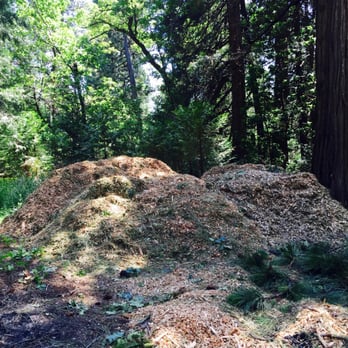 Crown Tree Service - Included chipping service. - Tree Services Near Me - Nevada City, California
