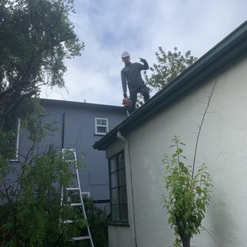 Brothers Landscaping - After - Tree Services Near Me Brothers Landscaping - After - Tree Services Near Me