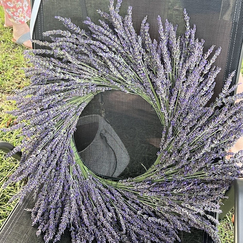 Carolina Charm - Lavender wreath made by me during the wreath making class! Lots of fun! - Home Decor Near Me - Point Harbor, North Carolina Carolina Charm - Lavender wreath made by me during the wreath making class! Lots of fun! - Home Decor Near Me - Point Harbor, North Carolina