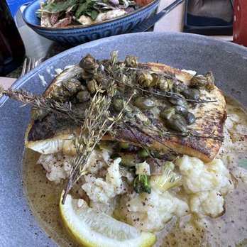 Thelma & Louise - Barramundi - Cafes Near Me - Neutral Bay, NSW Thelma & Louise - Barramundi - Cafes Near Me - Neutral Bay, NSW