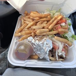 Gyro Plate