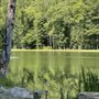 Photo of Camp Holly