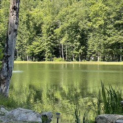 Camp Holly - Lots of fish in there.