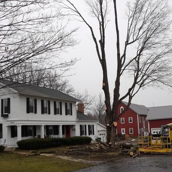 Quality Tree Services - Tree Services Near Me - Cookeville, Tennessee Quality Tree Services - Tree Services Near Me - Cookeville, Tennessee