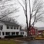 Photo of Quality Tree Services