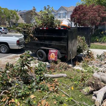 ASAP Junk Removal - Green waste removal in rancho Santa Fe ca - Junk Removal & Hauling Near Me - Valley Center, California