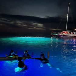 Kona Ocean Experience