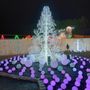 Photo of Harvest Glow