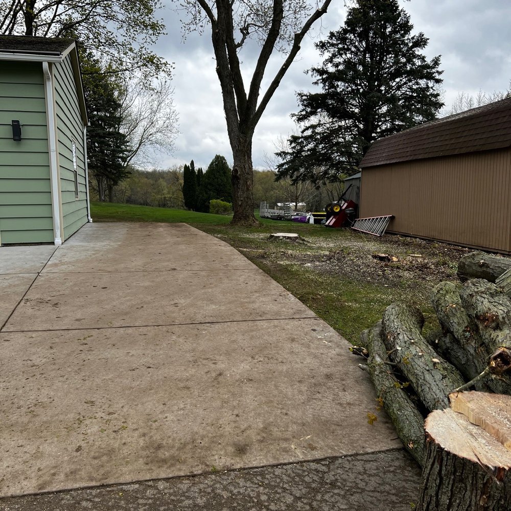 Red Oak Tree Service - Tree Services Near Me - Crystal Lake, Illinois Red Oak Tree Service - Tree Services Near Me - Crystal Lake, Illinois