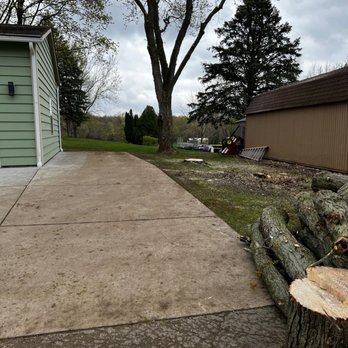 Red Oak Tree Service - Tree Services Near Me - Crystal Lake, Illinois Red Oak Tree Service - Tree Services Near Me - Crystal Lake, Illinois