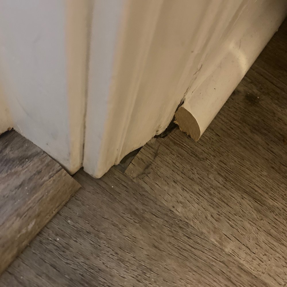 Empire Today - Carpet Installation Near Me Empire Today - Carpet Installation Near Me